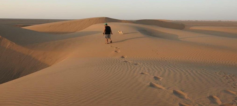 Desert Safari in Dasht-e Lut Desert